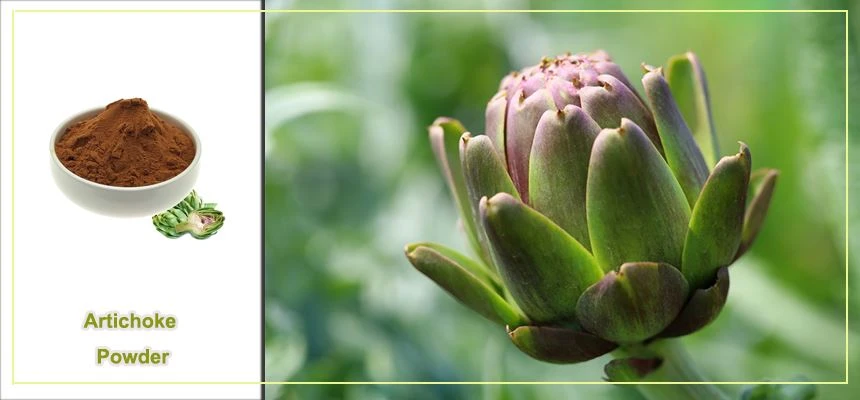 product-1-1 artichoke powder
