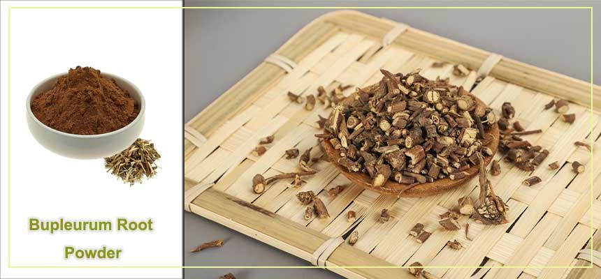 Bupleurum Root Powder