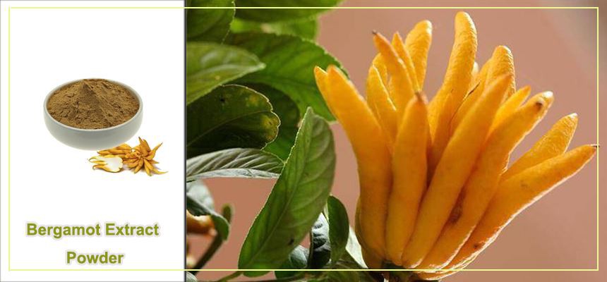 Bergamot extract powder