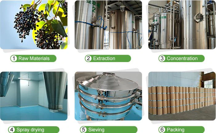 Extraction Process 1