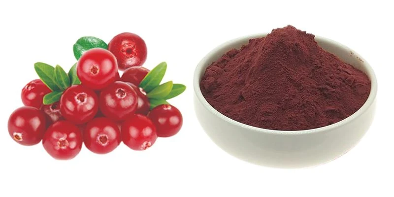 Cranberry Extract Anthocyanins Powder Cranberry Extract Anthocyanins Powder