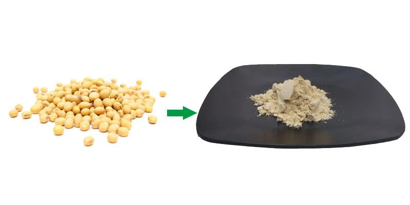 Introduction To Soy Isoflavone Powder