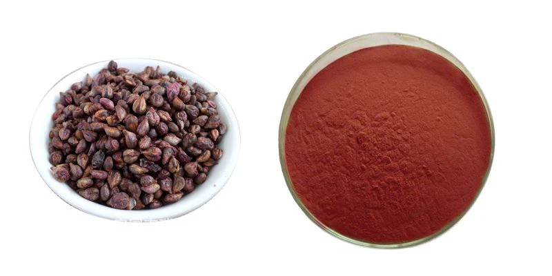 Image of grape seed extract powder