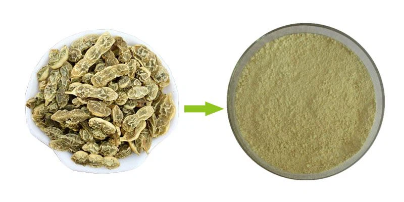 Genistein Powder