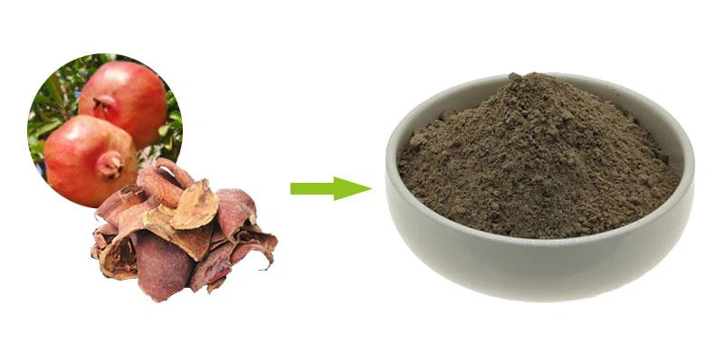 Introduction To Pomegranate Extract Ellagic Acid