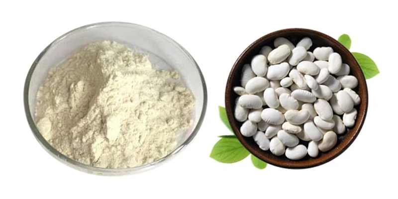 White kidney bean extract powder display