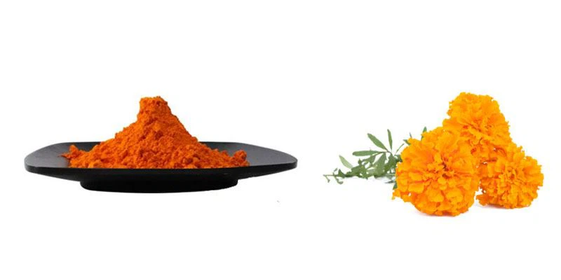 Introduction To Lutein 10% Powder