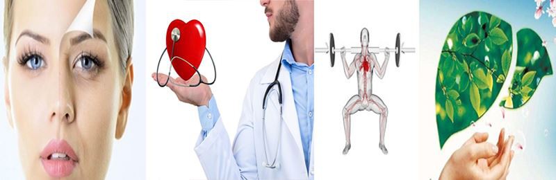 PQQ Product function diagram