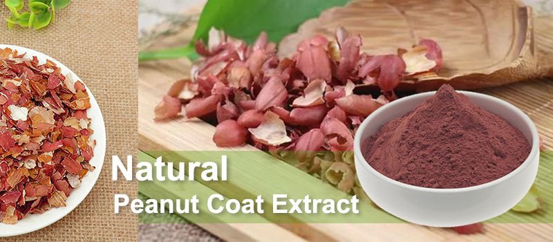 product-800-350 peanut coat extract 1