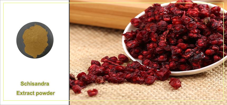 Schisandra Extract powder raw material display