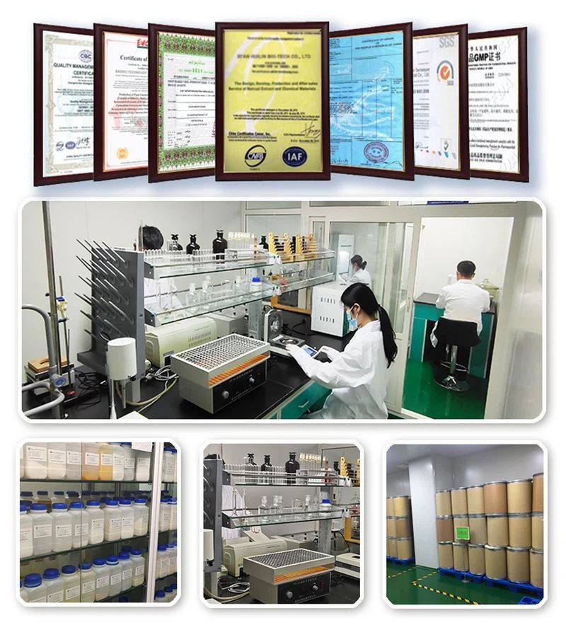 202107071717567c033907ccd3437182bd787cb49ed11a 202107071717567c033907ccd3437182bd787cb49ed11a