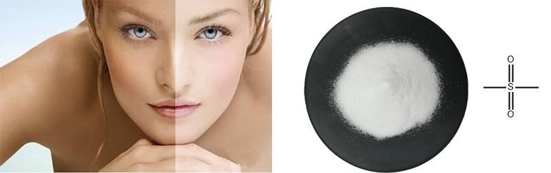 product-800-252 msm powder