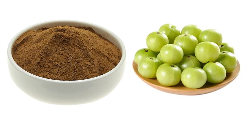 Extractum Fructus phyllanthus