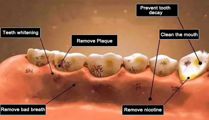 clean the mouth clean the mouth