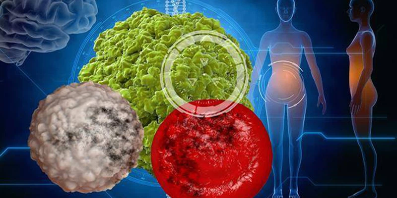 glycyrrhizic acid antiviral