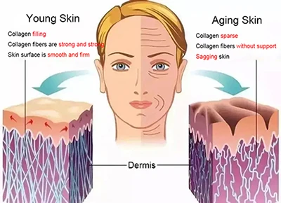 phenethyl resorcinol powder Anti-Aging phenethyl resorcinol powder Anti-Aging