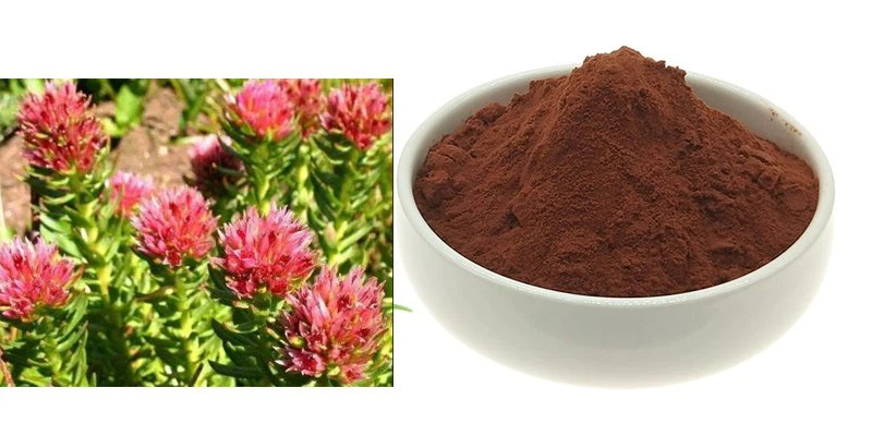 Rhodiola root extract introduction Rhodiola root extract introduction