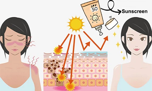 Sunscreen Sunscreen