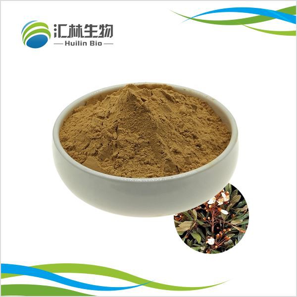 Catuaba Bark Extract Powder
