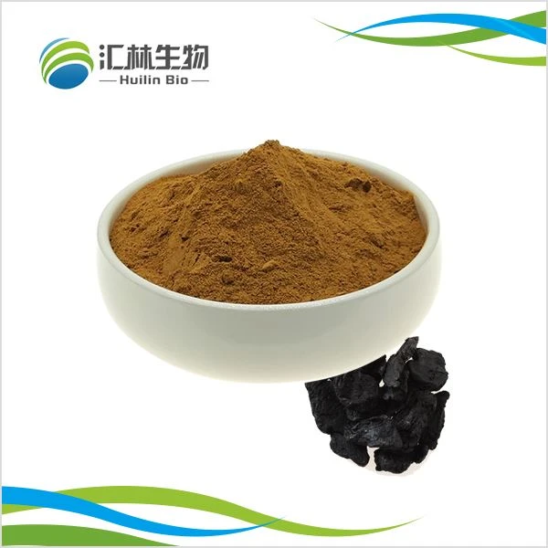 Rehmannia Root Extract Powder