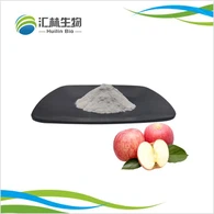 Apple Extract Powder