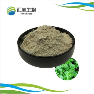 Centella Asiatica Extract Powder