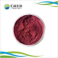Aronia Berry Extract Powder