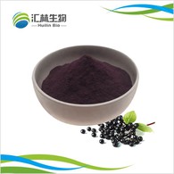 Elderberry Extract Powder