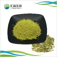 Sophora Japonica Extract Quercetin