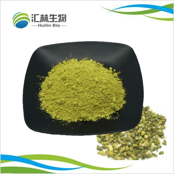 Sophora Japonica Extract Quercetin