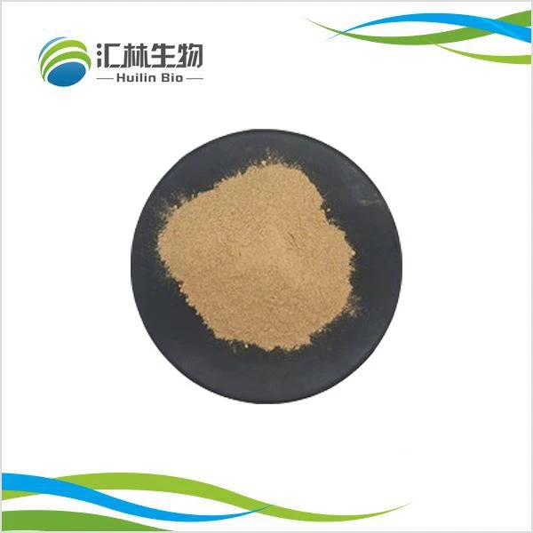 Chasteberry (Vitex Agnus-Castus) Extract Powder