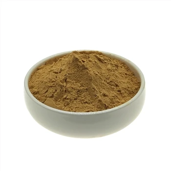The Benefits of Linden Flower Extract Powder