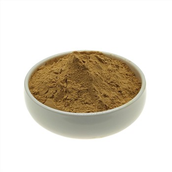 What Are The Benefits Of Hericium Erinaceus Extract Powder To The Body?