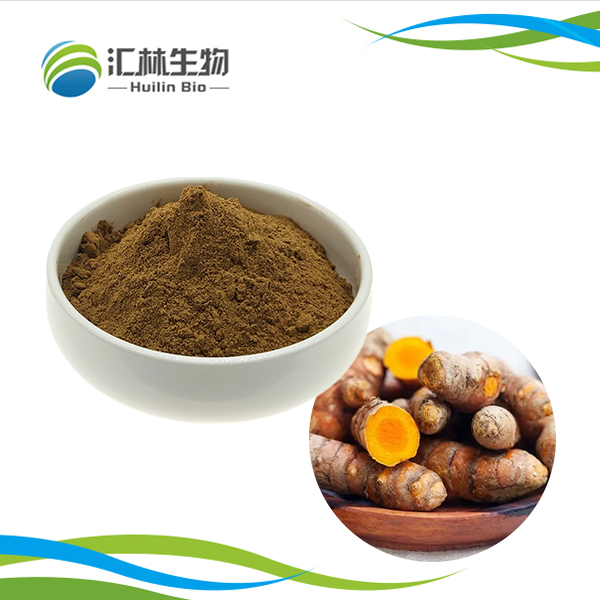Turmeric Extract Powder