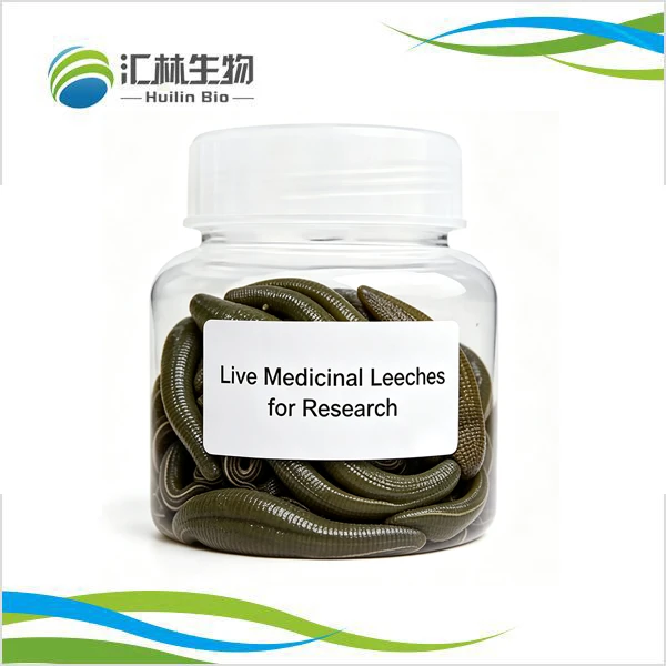 Poecilobdella Manillensis Freeze-Dried Powder (Hirudin / Leech Powder) factory
