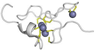 What Is Metallothionein Powder? Benefits & Applications