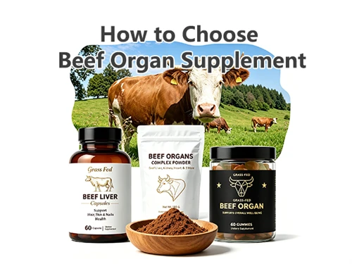 Beef Organ Supplement: How to Choose the Right One for Women, Men, and Kids
