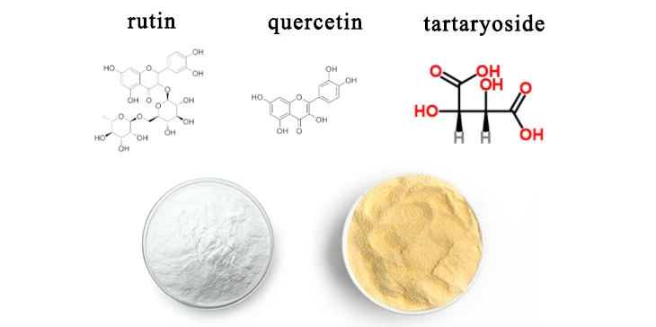 Molecular structures of rutin quercetin tartaryoside Molecular structures of rutin quercetin tartaryoside