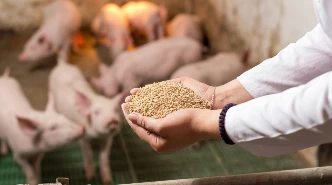 Applications of monocalcium phosphate in Animal Feed Applications of monocalcium phosphate in Animal Feed