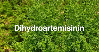 Dihydroartemisinin: Benefits, Dosage, Side Effects And More