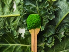 Rwanda DRS 448:2026 Tightens Vegetable Powder Rules