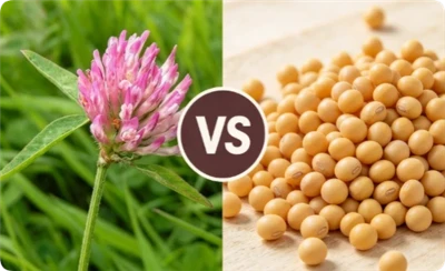 Red Clover Vs Soy Isoflavones: AIE Basis, Side Effects