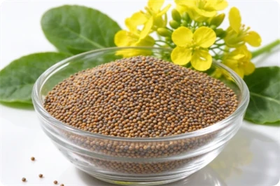 Sinapic Acid Uses: Structure, Foods And Side Effects